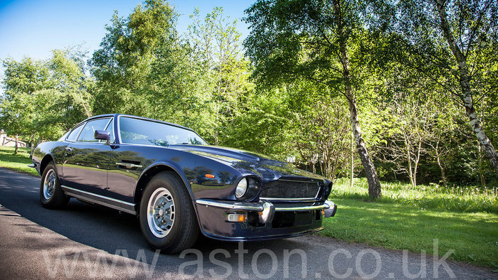 1979 Aston Martin V8 Coupe (Oscar India)